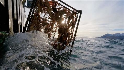 Deadliest Catch: Crab Season's Canceled Again, But Season 20 .